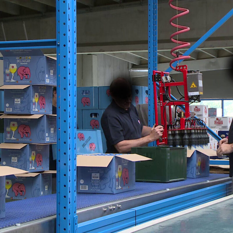 Realisatie Ryhove 01